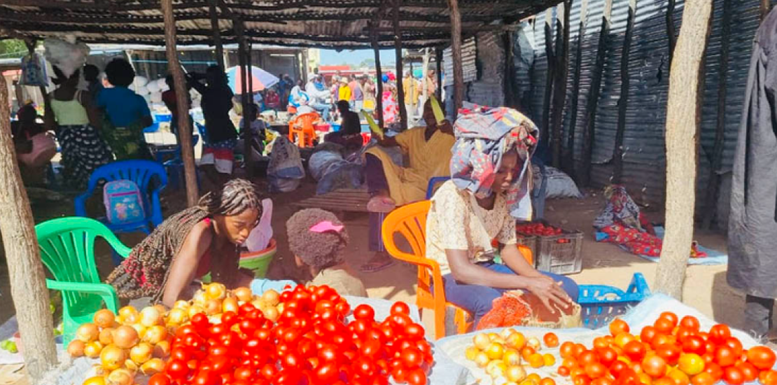 Escassez de tomate eleva preço no mercado informal de Ondjiva.