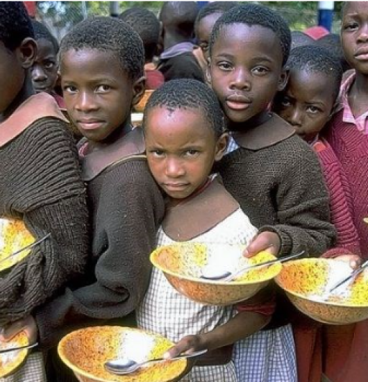 Relatório estima que 735 milhões de pessoas no mundo passam fome.