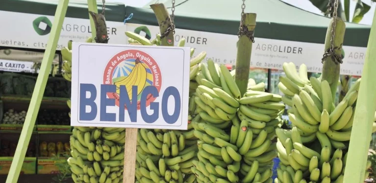 11.ª edição da Feira Nacional da Banana no Bengo.