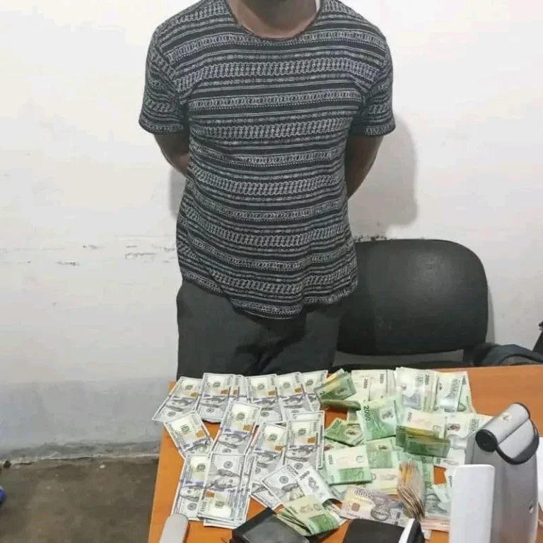 detido cidadão ilegal,