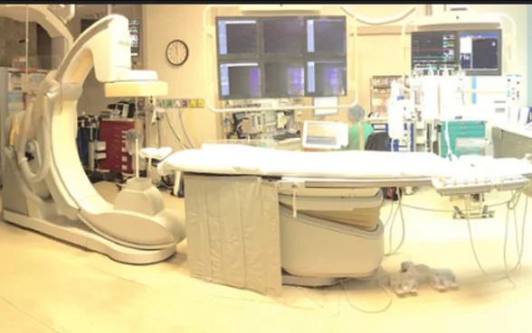 Saúde recebe “luz verde” para dar início ao programa de capacitação em Neurorradiologia de Intervenção‎