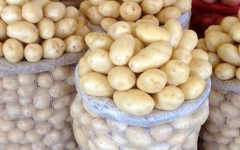 feira do natal e da batata na huíla