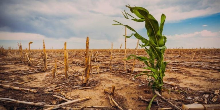 Alterações Climáticas