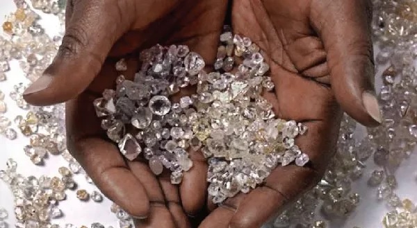Sociedade Mineira do Luele lidera com 37 pedras no leilão da SODIAM EP.