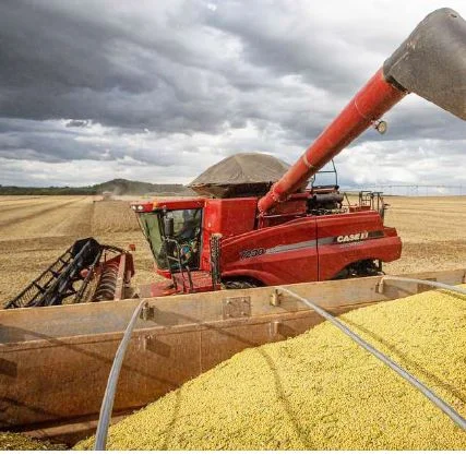 Noruega pretende investir na produção de frutas e cereais em Malanje.