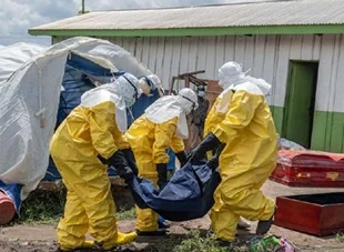 Ébola: Número de casos sobe para 782 na RDC