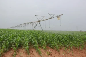 Governo lança ‘Compacto AgriConnect’