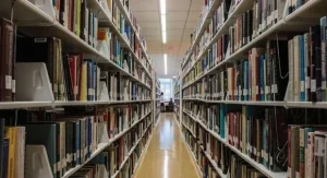 EM LUANDA E ICOLO E BENGO: Centralidades nascem sem espaços para bibliotecas