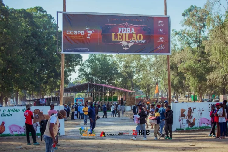 Feira e Leilão de Gado