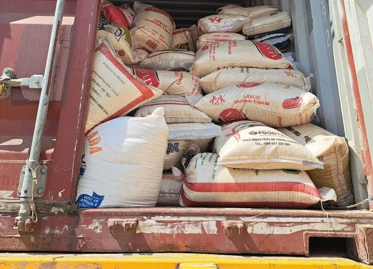 arroz deteriorado