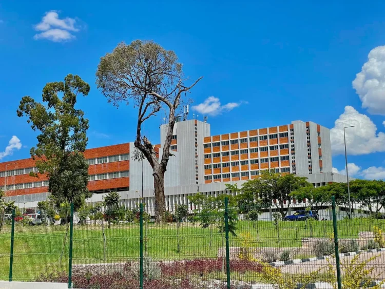 falhas no atendimento aos pacientes