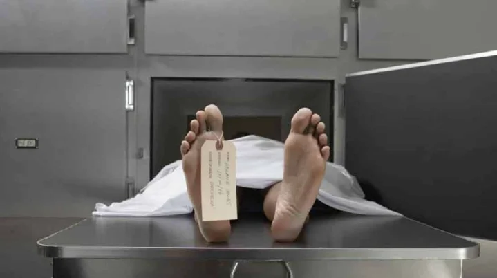 Quarenta e três corpos encontram-se retidos no Hospital Geral dos Cajueiros, no município do Cazenga, em Luanda, por falta de sistema informático nas conservatórias para emissão dos boletins de óbito. Mais de 40 corpos retidos no Hospital Geral dos Cajueiros por falta de boletins de óbito