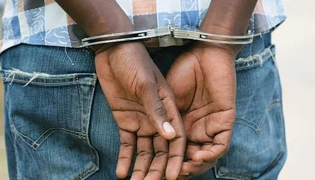 Detidos cidadãos suspeitos de caça ilegal de animal em extinção no Icolo e Bengo