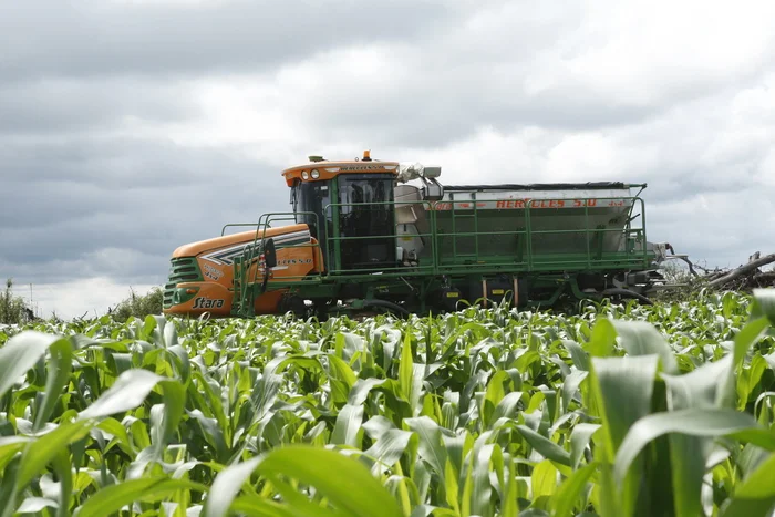 Agricultura contribui com mais de 590 mil milhões de kwanzas no PIB