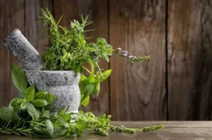 Simpósio sobre plantas medicinais arranca hoje em Malanje.