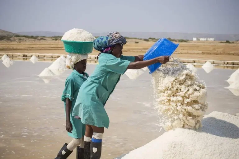 Fábrica de soda cáustica, hipoclorito de sódio e ácido clorídrico em Angola inaugurada amanhã