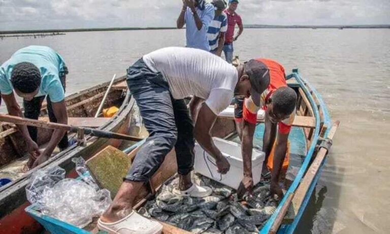 pesca ilegal