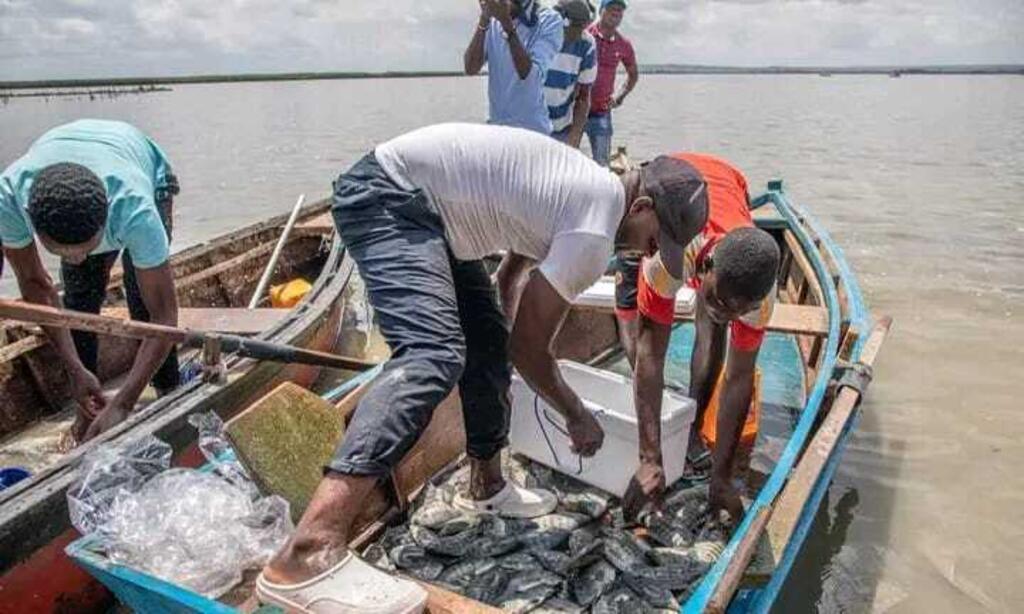 pesca ilegal