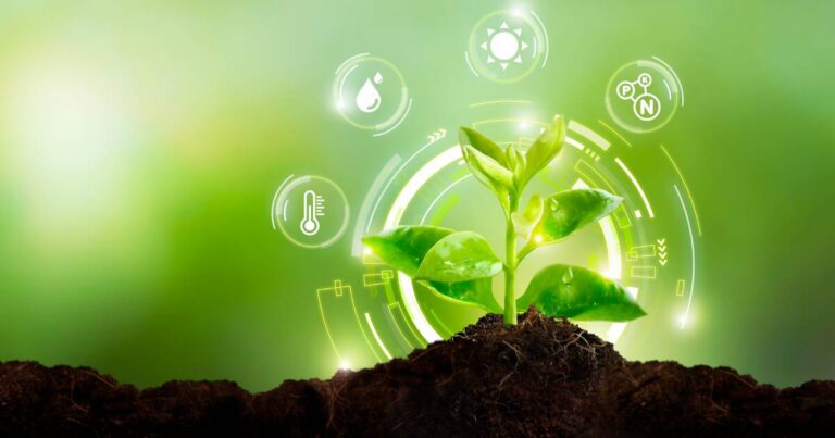 áreas da sustentabilidade e biotecnologia