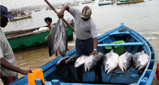 sector de pesca